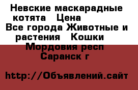 Невские маскарадные котята › Цена ­ 15 000 - Все города Животные и растения » Кошки   . Мордовия респ.,Саранск г.